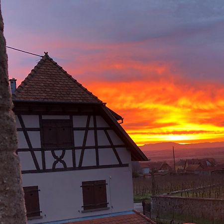 Beck Domaine Du Rempart Villa Dambach Esterno foto