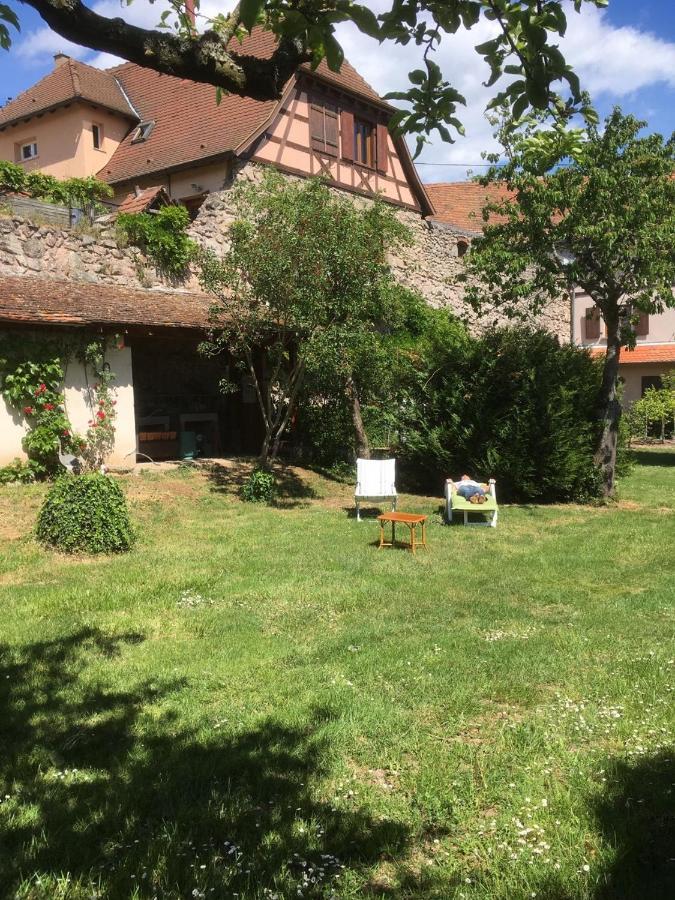 Beck Domaine Du Rempart Villa Dambach Esterno foto